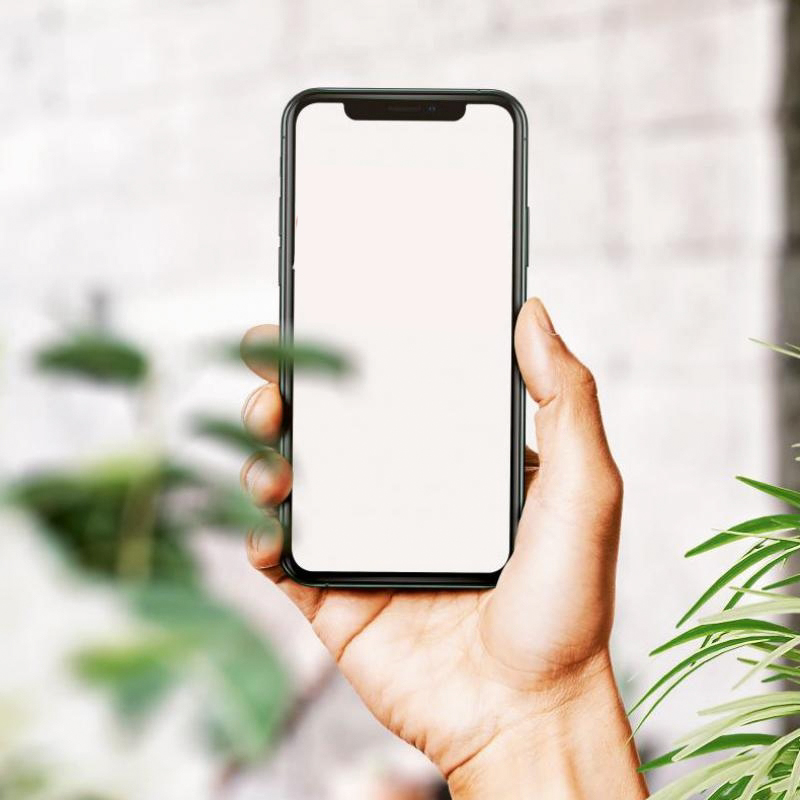 Sara Ta��mac�l�k